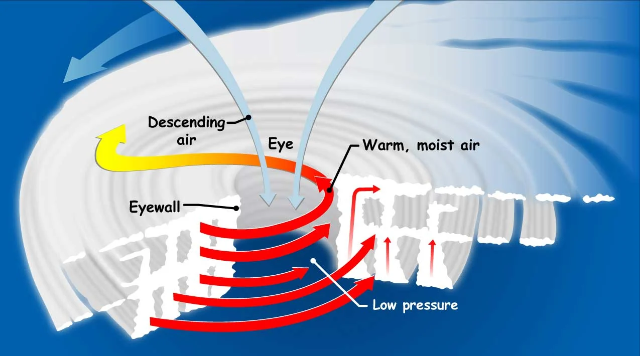 How Hurricanes Form Infographic